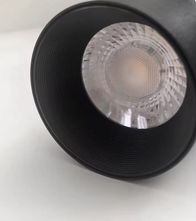 Projecteur 30W Noir pour rail monophasé