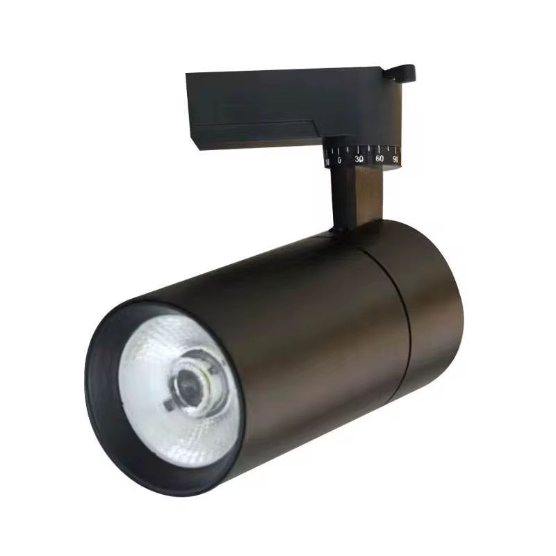 Projecteur 30W Noir pour rail monophasé