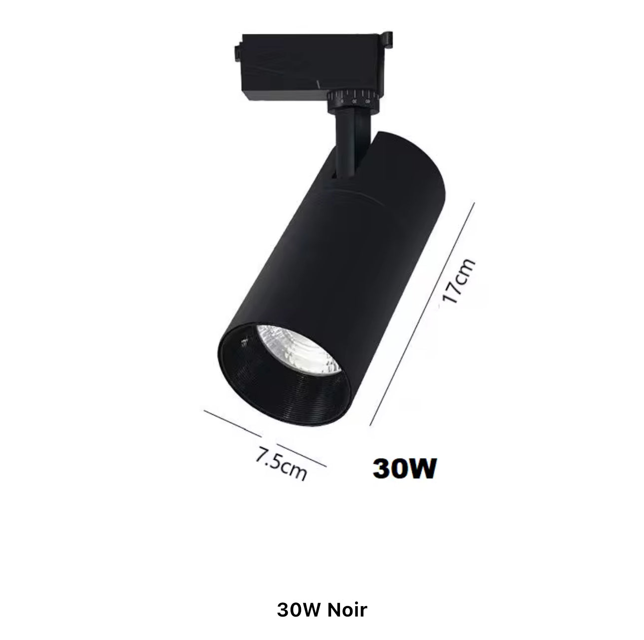 Projecteur 30W Noir pour rail monophasé
