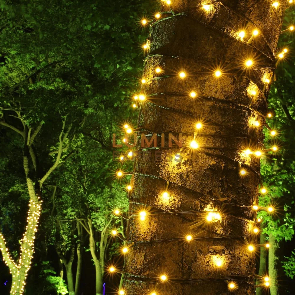 Guirlande 50M LED Jaune étanche