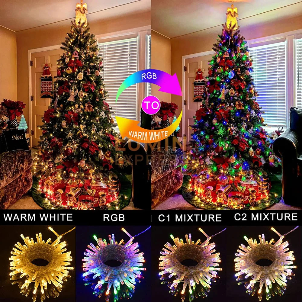 Guirlande 10M LED RGB étanche