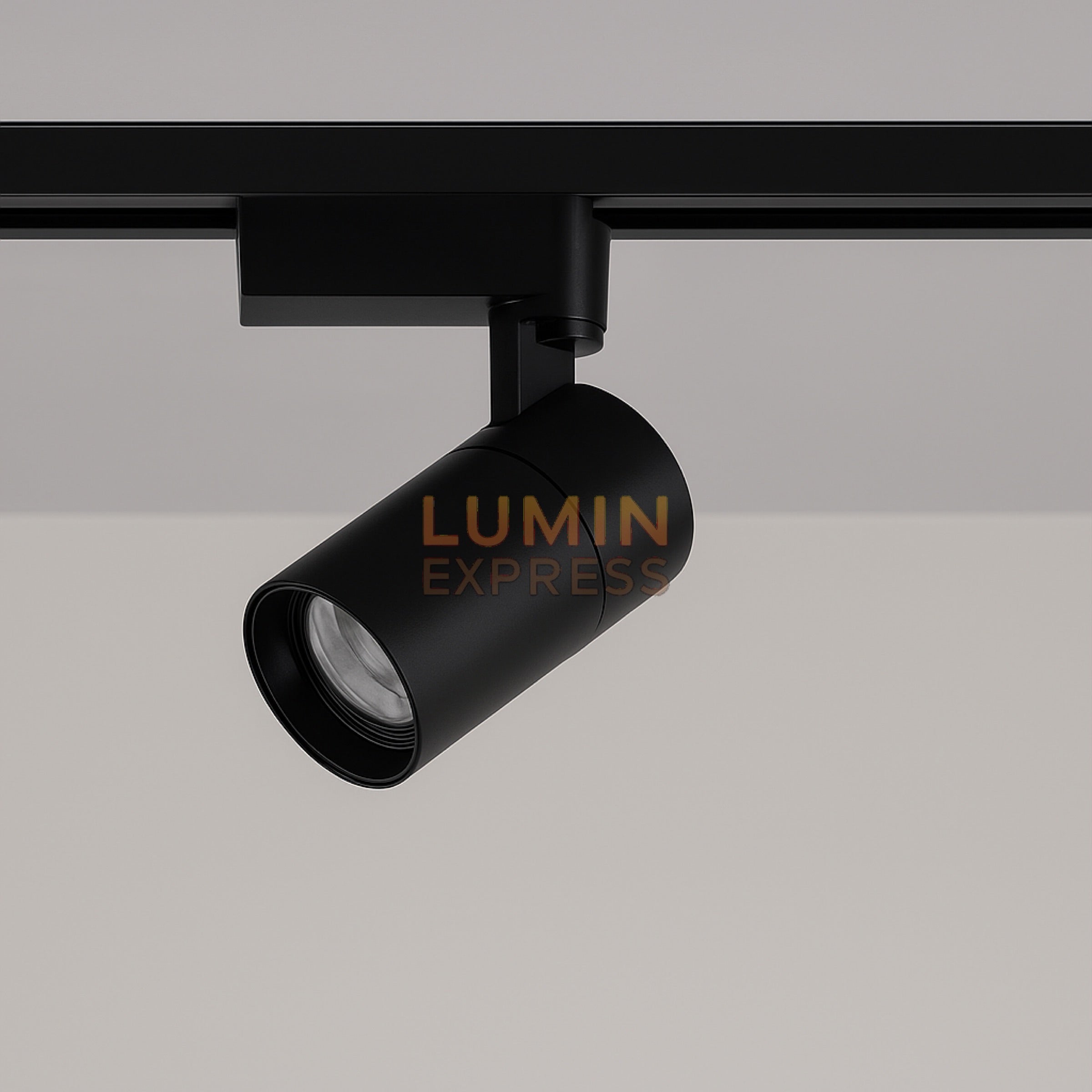 Projecteur 30W Noir pour rail monophasé