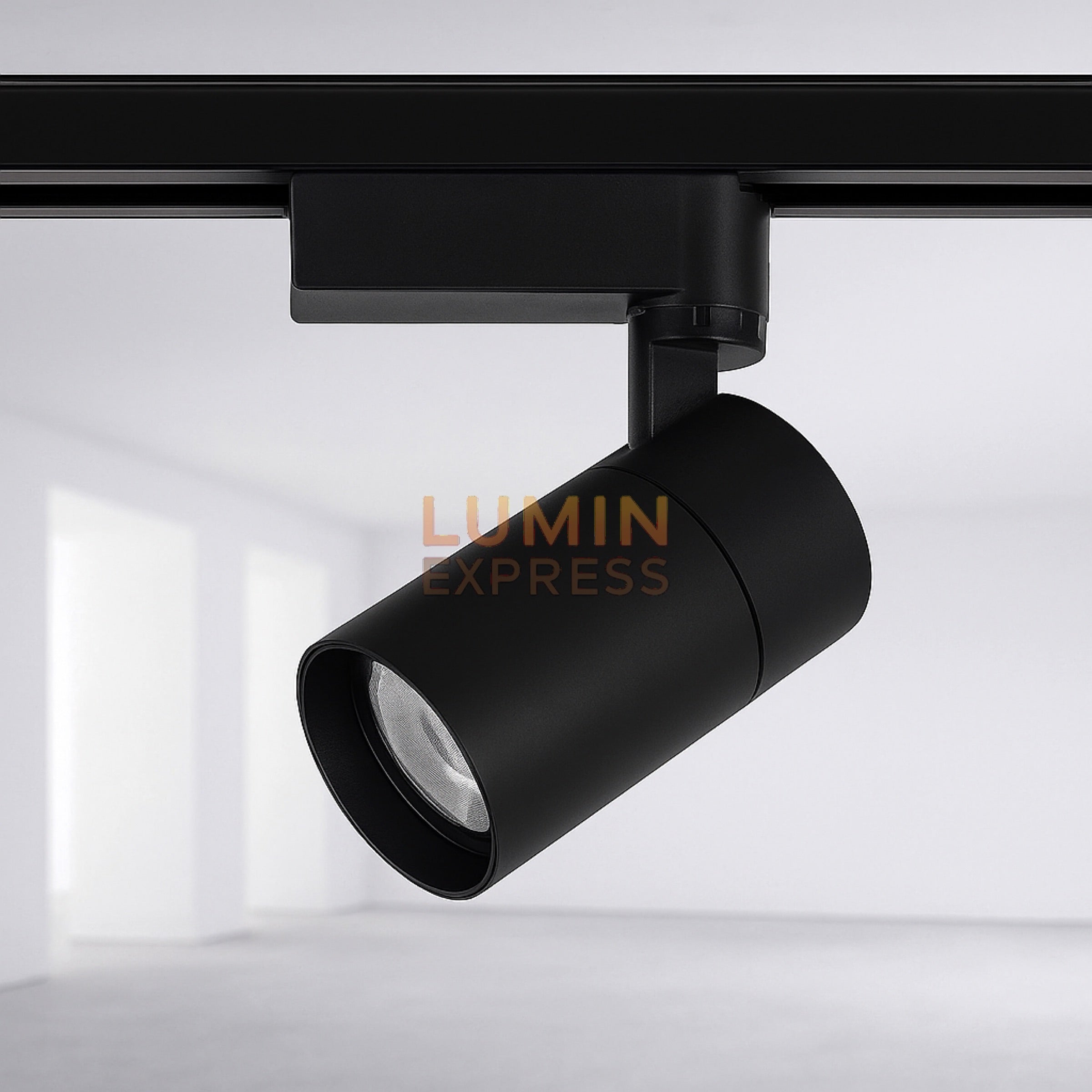 Projecteur 30W Noir pour rail monophasé
