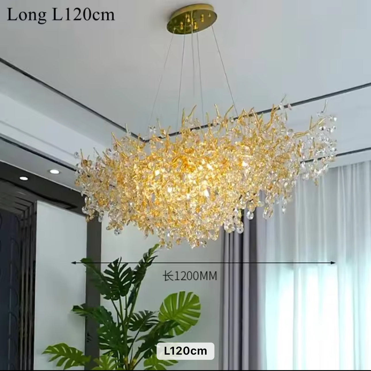 Lustre BELONG
