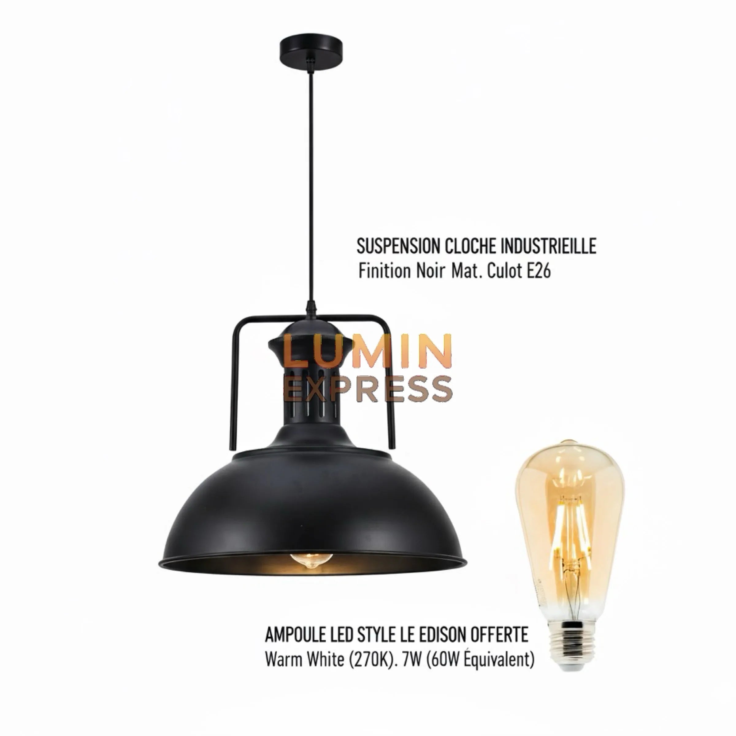 Suspension industrielle VINTAGIA 40 cm fournie avec ampoule LED style Edison