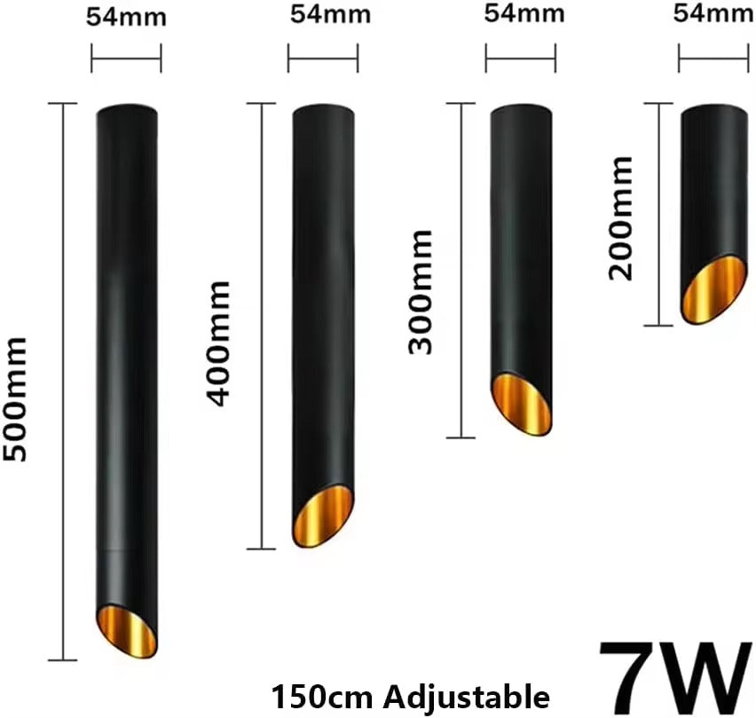 Suspension LOTUS