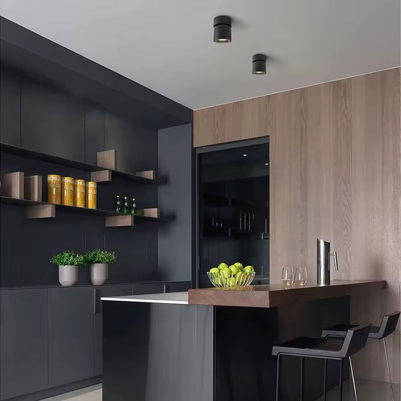 Spot plafonnier LUMINO orientable